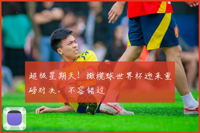超级星期天！橄榄球世界杯迎来重磅对决，不容错过